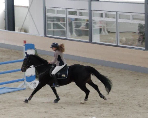 Reitturnier Borken 2024