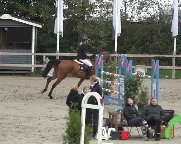 Reitturnier Scharnebeck 2024