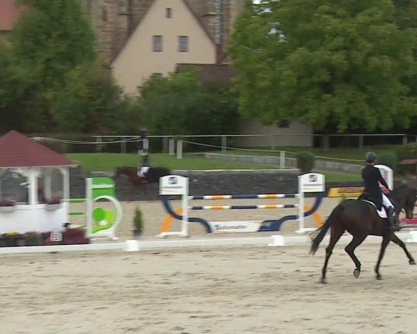 Reitturnier Frankenhof-Sonnefeld/Ofr. 2024