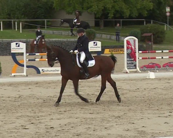 Reitturnier Frankenhof-Sonnefeld/Ofr. 2024