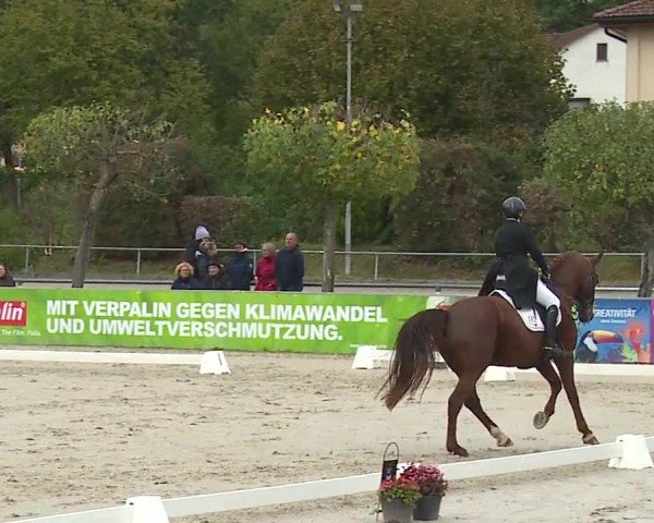 Reitturnier Frankenhof-Sonnefeld/Ofr. 2024