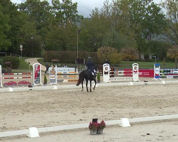 Reitturnier Frankenhof-Sonnefeld/Ofr. 2024