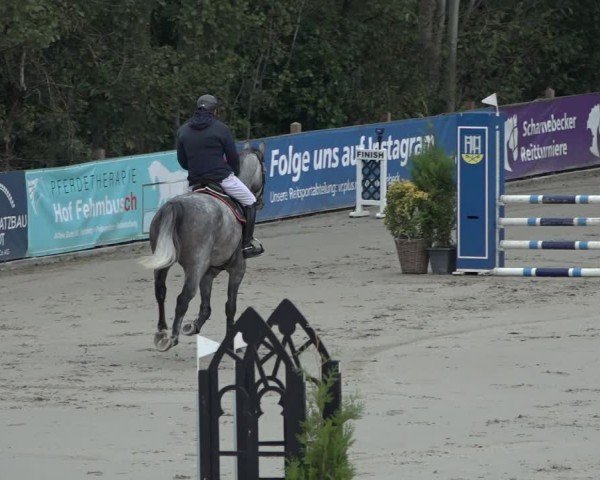 Reitturnier Scharnebeck 2024