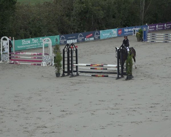 Reitturnier Scharnebeck 2024