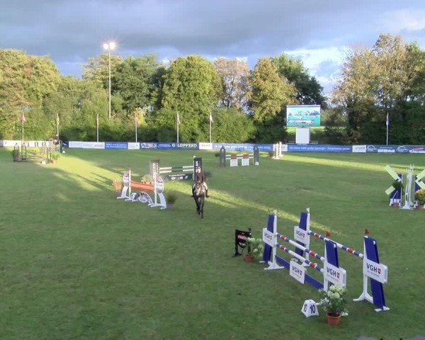 Reitturnier Scharnebeck 2024