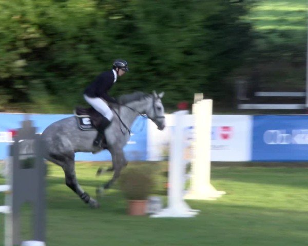 Reitturnier Scharnebeck 2024