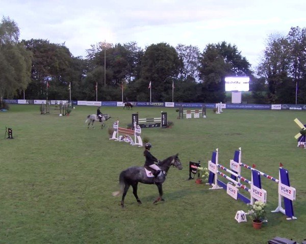 Reitturnier Scharnebeck 2024