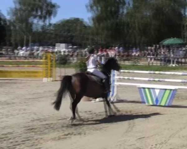 Großes Reit- und Springturnier 2013 des RuF