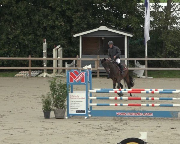 Reitturnier Scharnebeck 2024