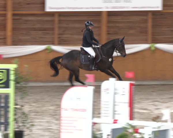 Reitturnier Xanten - Reitanlage Miss 2024