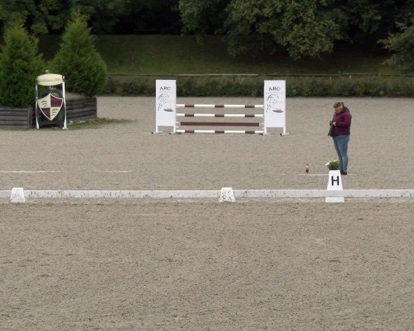 Reitturnier Tübingen 2024