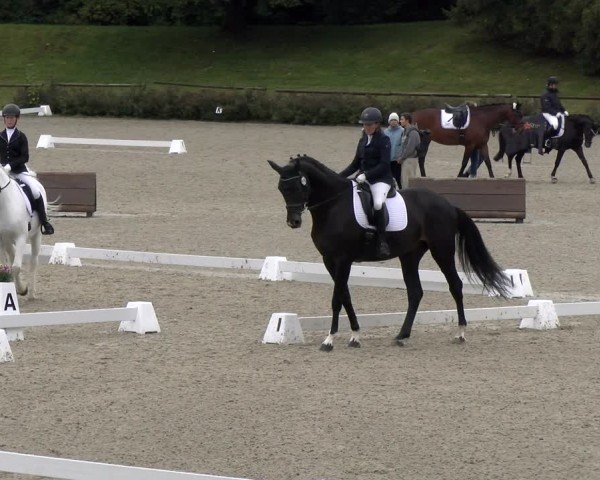 Reitturnier Tübingen 2024