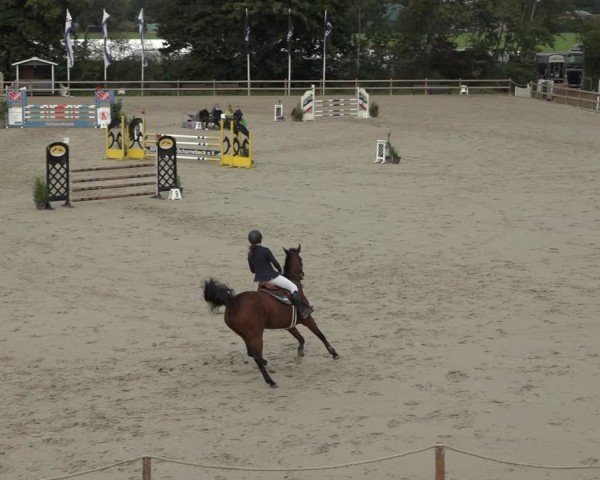 Reitturnier Scharnebeck 2024