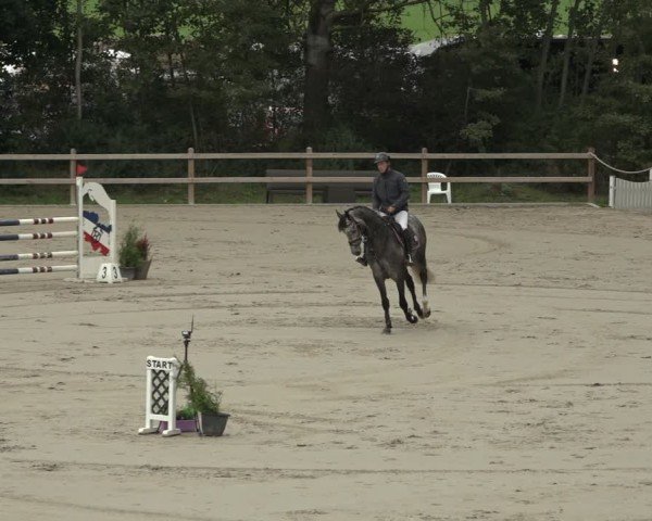 Reitturnier Scharnebeck 2024