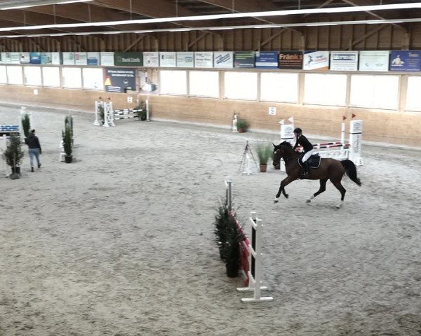 Reitturnier Rüti 2021