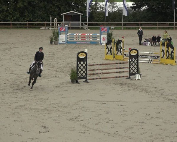 Reitturnier Scharnebeck 2024