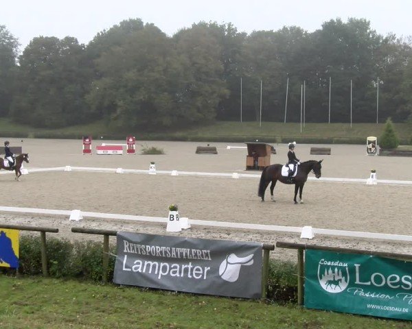 Reitturnier Tübingen 2024