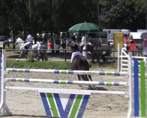 Reitturnier Herbern 2013