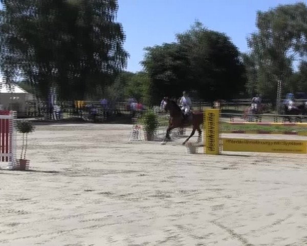 Reitturnier Herbern 2013