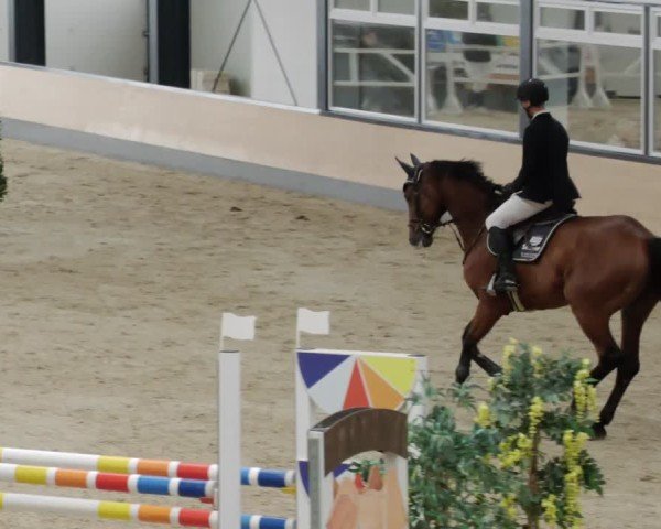 Reitturnier Borken 2024