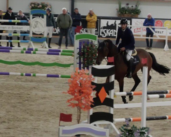 Reitturnier Borken 2024