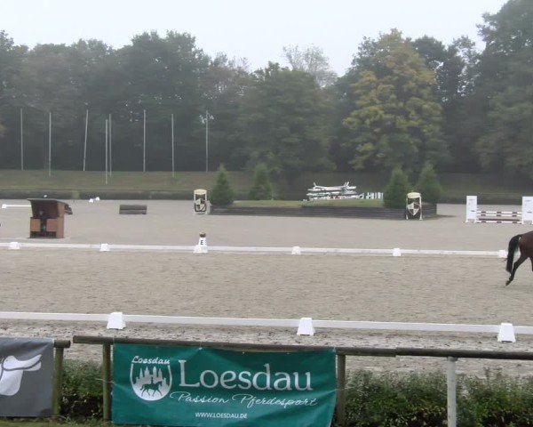 Reitturnier Tübingen 2024