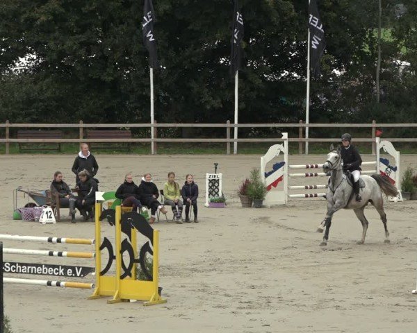 Reitturnier Scharnebeck 2024