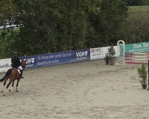 Reitturnier Scharnebeck 2024