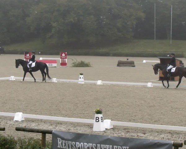 Reitturnier Tübingen 2024