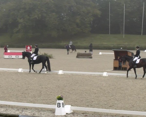 Reitturnier Tübingen 2024