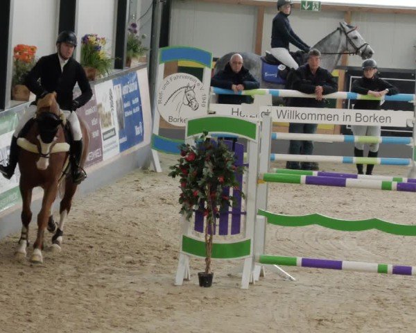 Reitturnier Borken 2024