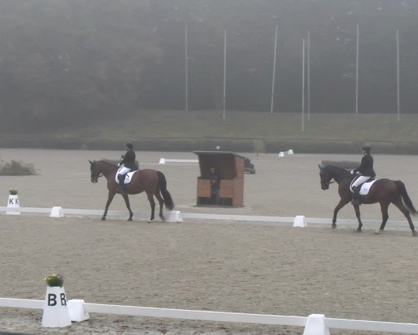 Reitturnier Tübingen 2024
