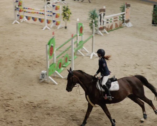 Reitturnier Borken 2024