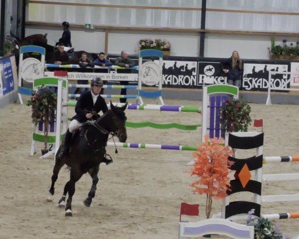 Reitturnier Borken 2024