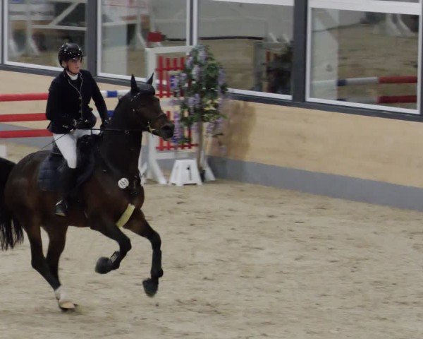 Reitturnier Borken 2024