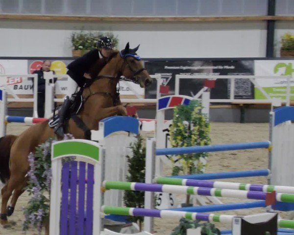 Reitturnier Borken 2024
