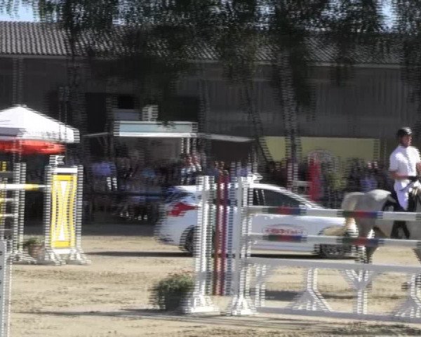 Großes Reit- und Springturnier 2013 des RuF