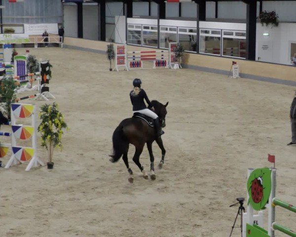 Reitturnier Borken 2024