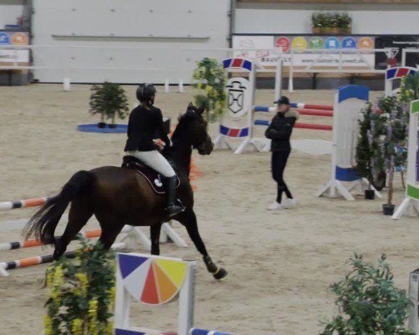Reitturnier Borken 2024