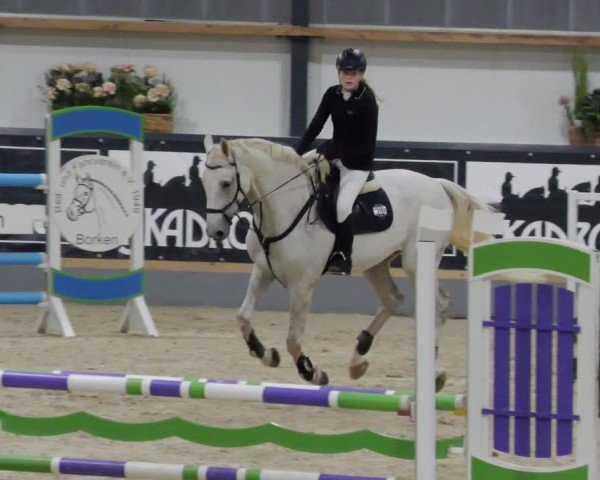 Reitturnier Borken 2024