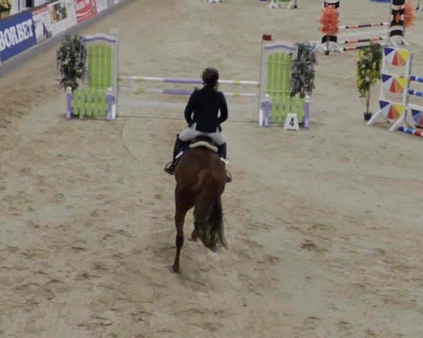Reitturnier Borken 2024