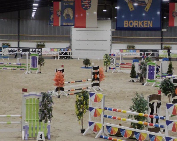 Reitturnier Borken 2024