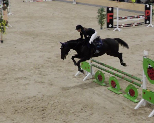 Reitturnier Borken 2024