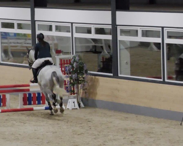 Reitturnier Borken 2024
