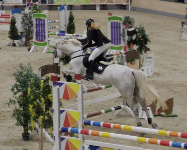 Reitturnier Borken 2024