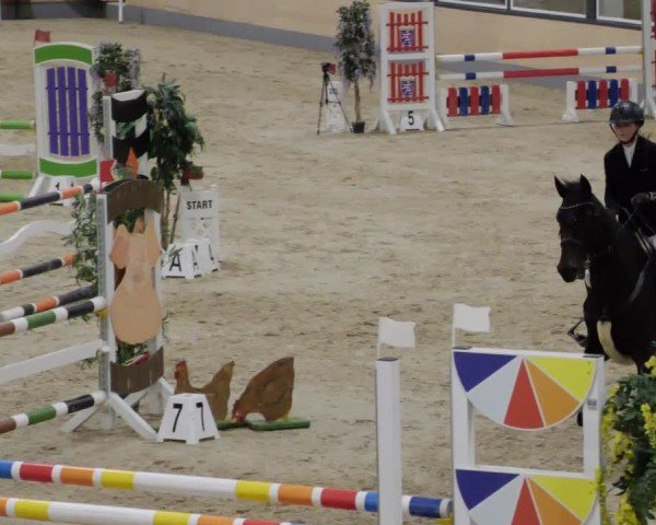 Reitturnier Borken 2024