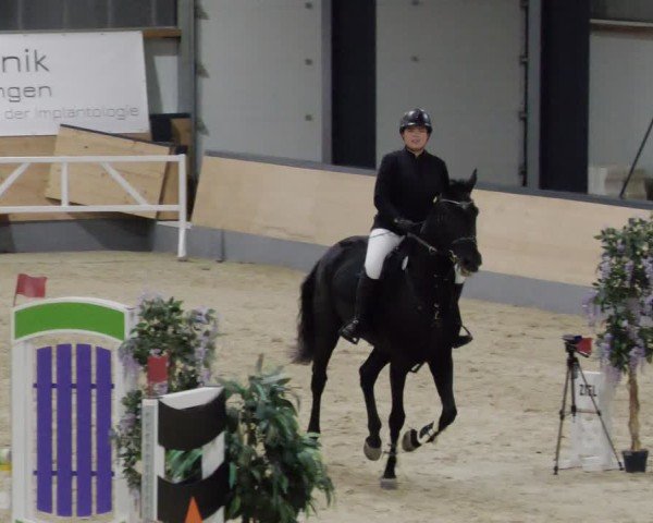 Reitturnier Borken 2024