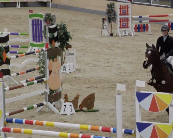 Reitturnier Borken 2024