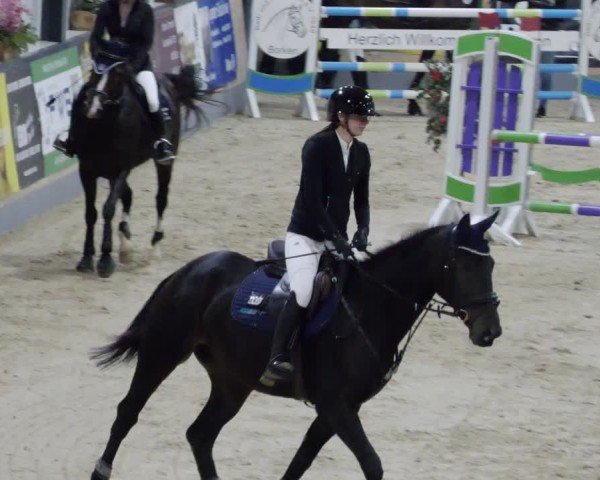 Reitturnier Borken 2024