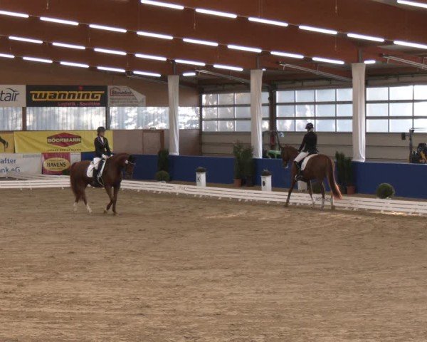 Reitturnier Isterberg 2024